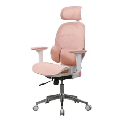Ghế công thái học OEM E3 Lite | Hồng, 150kg, Chân xoay, Lưng lưới - Bezon Buôn Ma Thuột