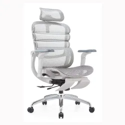 Ghế Công Thái Học Manson Foris, Màu Xám, Có gác chân | Đỡ Lưng Bionic Spine, Ngả Sâu 147 Độ, Tay 5D - Bezon Buôn Ma Thuột