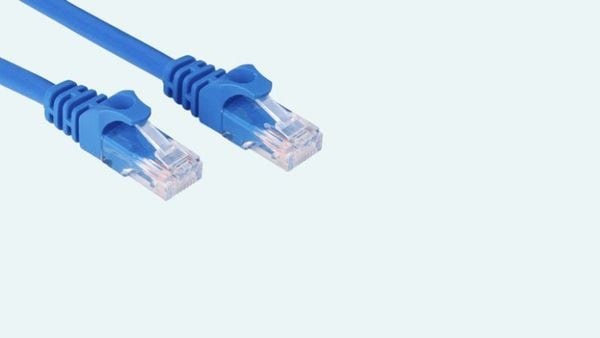 Jack RJ45 chuẩn Cat6, đảm bảo kết nối ổn định và đa dạng