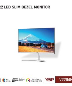 Màn hình phẳng VSP V2204H - 100Hz